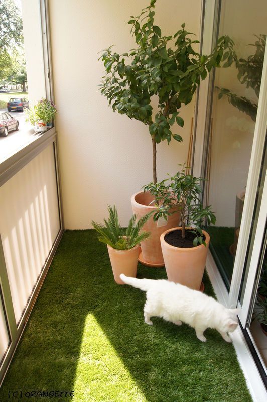 Vibração Colorida: Grama Sintética e Acessórios Vibrantes - inspiração 1