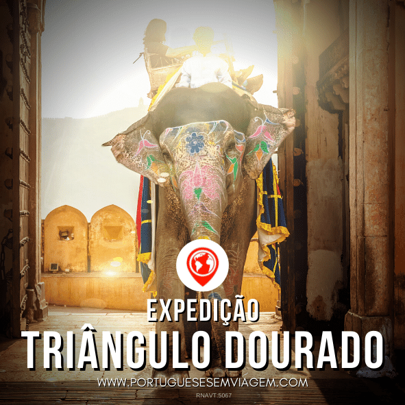 Transporte Local: Movimentando-se com Segurança e Eficiência - inspiração 1