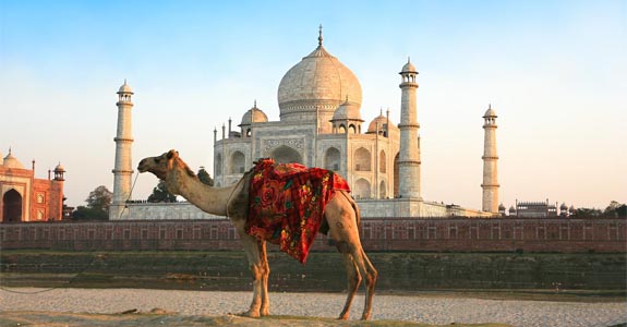 Sabores Inesquecíveis: Gastronomia que Você Precisa Experimentar - inspiração 2