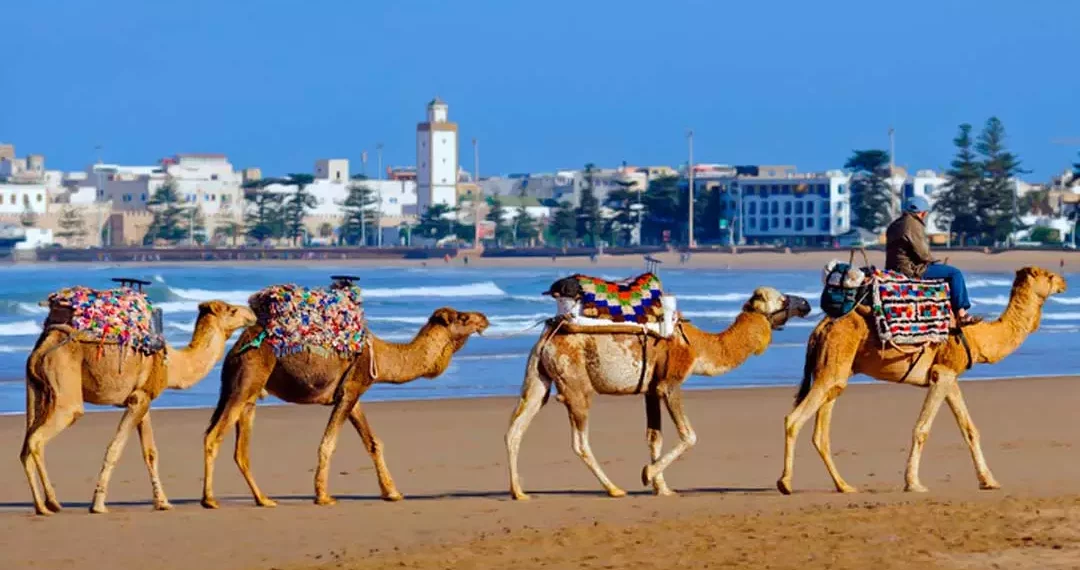 Segurança em Primeiro Lugar: Cuidados Essenciais no Deserto e Cidades - inspiração 1