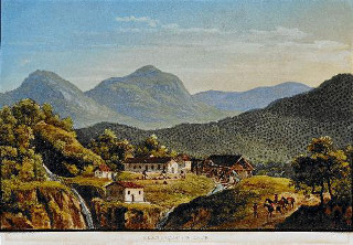 O Semeio Inicial: Os Primeiros Cafeteiros e Suas Mudas - inspiração 2