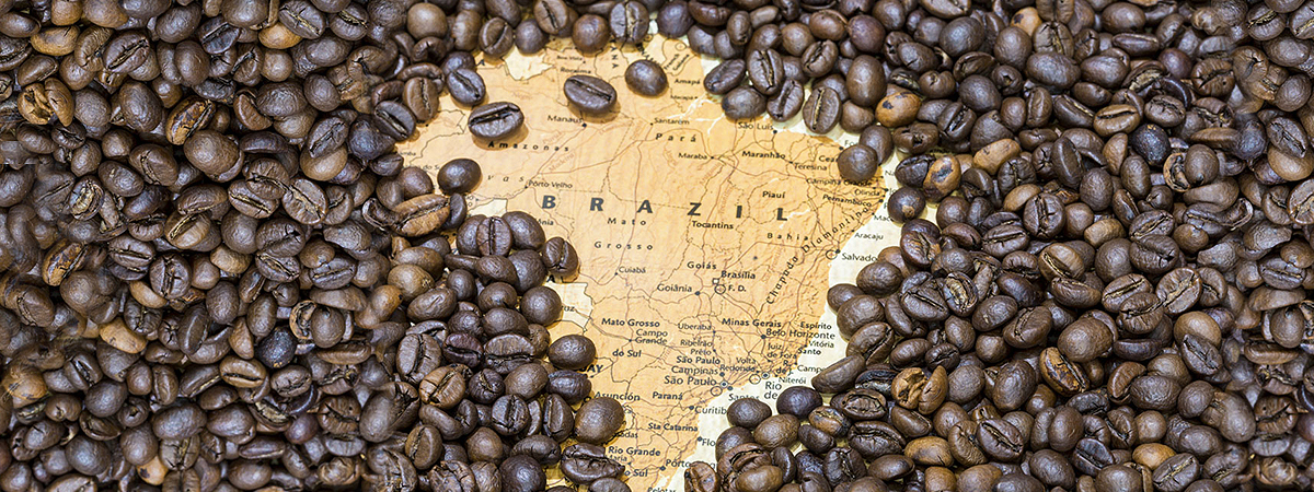 Do Litoral ao Interior: A Expansão das Lavouras pelo País - inspiração 2