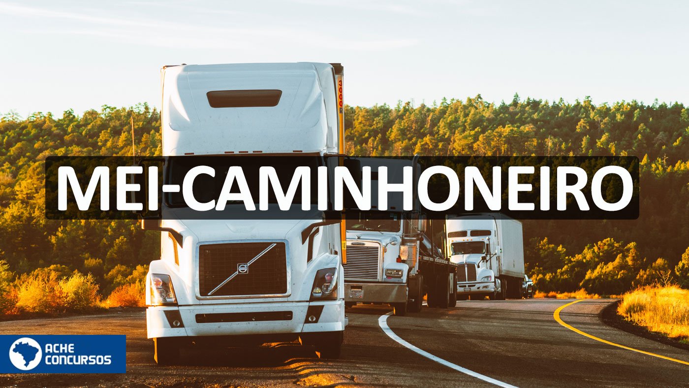 Controle Financeiro para Caminhoneiros: Simplificando a Gestão - inspiração 1