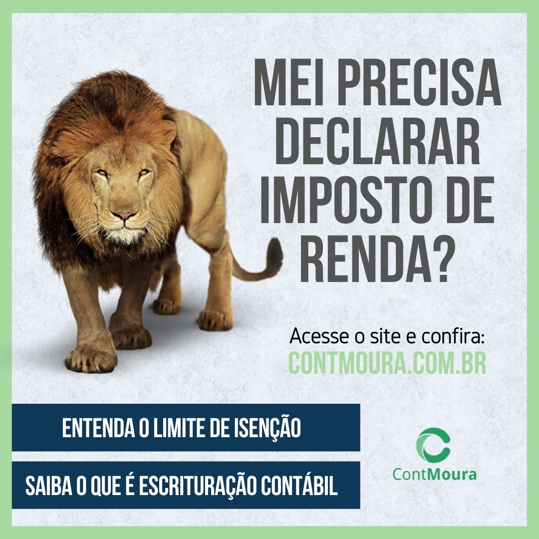 Entendendo a diferença: faturamento do MEI vs. lucro para imposto de renda - inspiração 1
