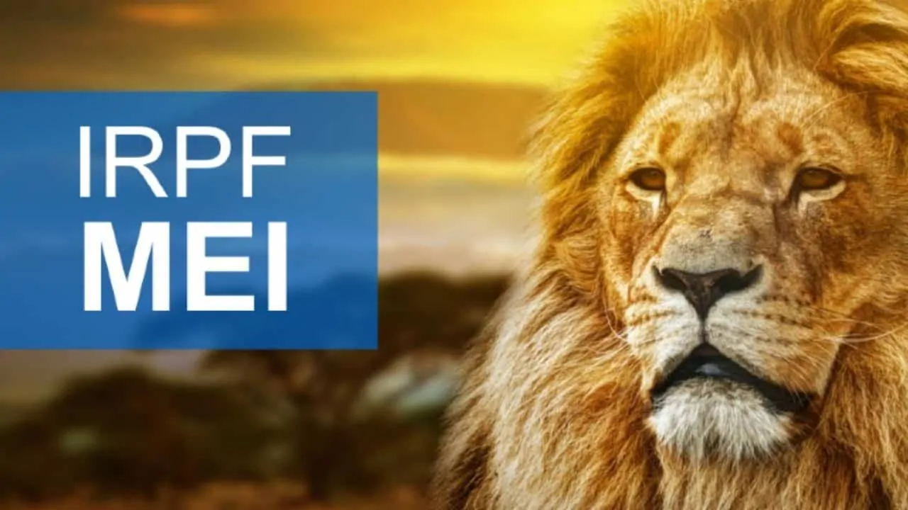 Documentos essenciais para sua declaração: o que você precisa ter em mãos? - inspiração 2