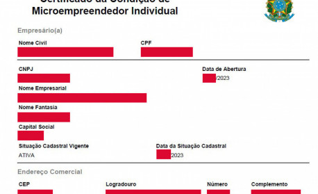 Diferenças chave: MEI vs. outras formas jurídicas - inspiração 2