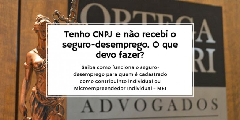 Quando o MEI Perde o Direito ao Seguro-Desemprego - inspiração 2