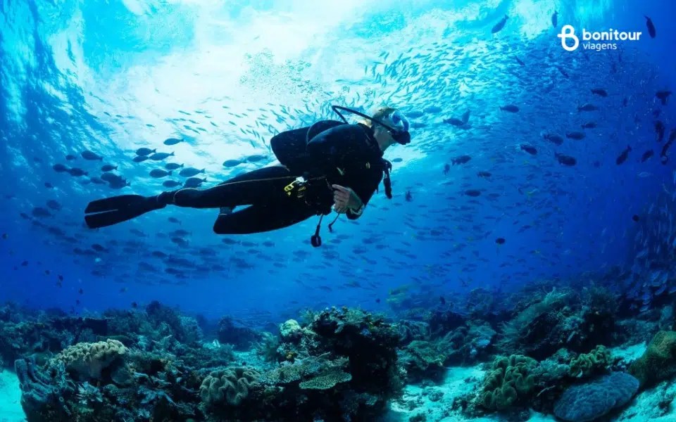 Ilha Grande (RJ): Tesouros Submersos em Mata Atlântica Preservada - inspiração 2