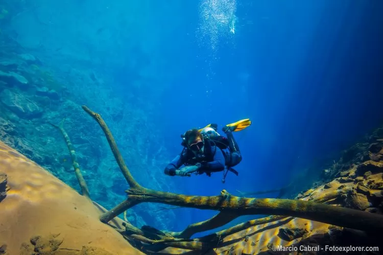 Alter do Chão (PA): Um Mergulho Diferente em Rios de Água Doce - inspiração 2