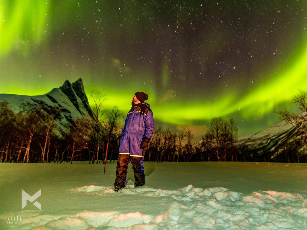 Canadá (Yukon e Territórios do Noroeste): A Vastidão Selvagem e a Aurora - inspiração 1