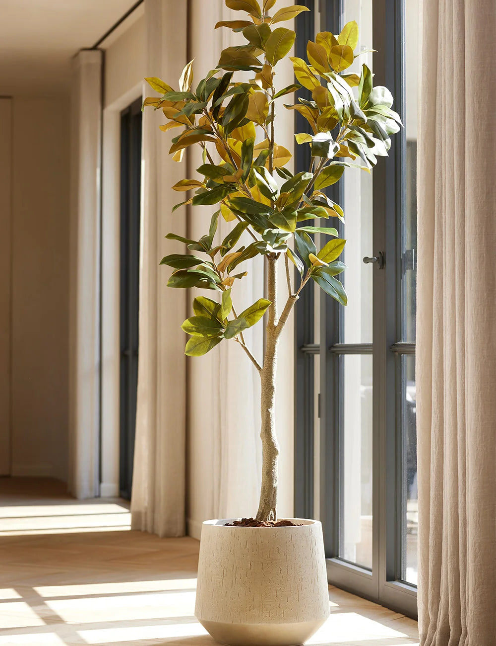 Folhagens Tropicais: A Exuberância da Natureza em Casa - inspiração 2