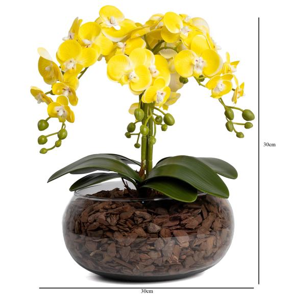 Plantas de Grande Porte: Impacto Visual com Realismo - inspiração 2