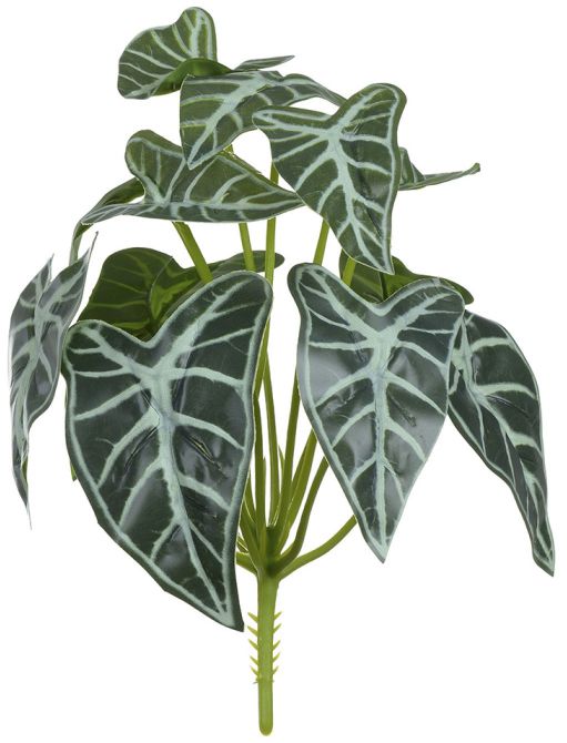 Orquídeas e Bromélias: Beleza Exótica e Duradoura - inspiração 1