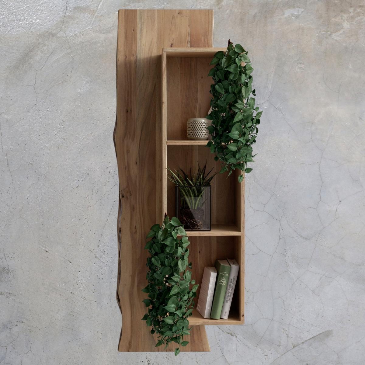 Orquídeas e Bromélias: Beleza Exótica e Duradoura - inspiração 2