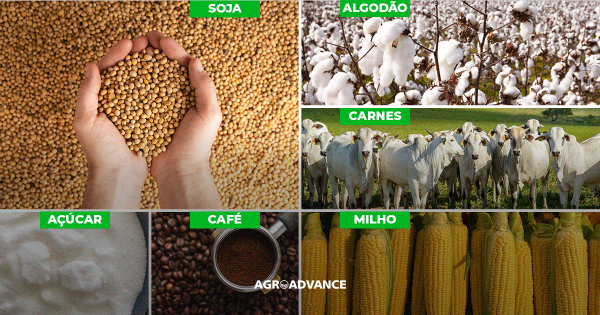 Soja: O Ouro Verde Brasileiro - inspiração 2