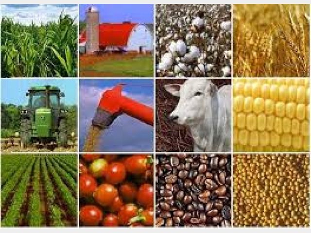 Petróleo: Energia Essencial e Sua Importância Global - inspiração 2