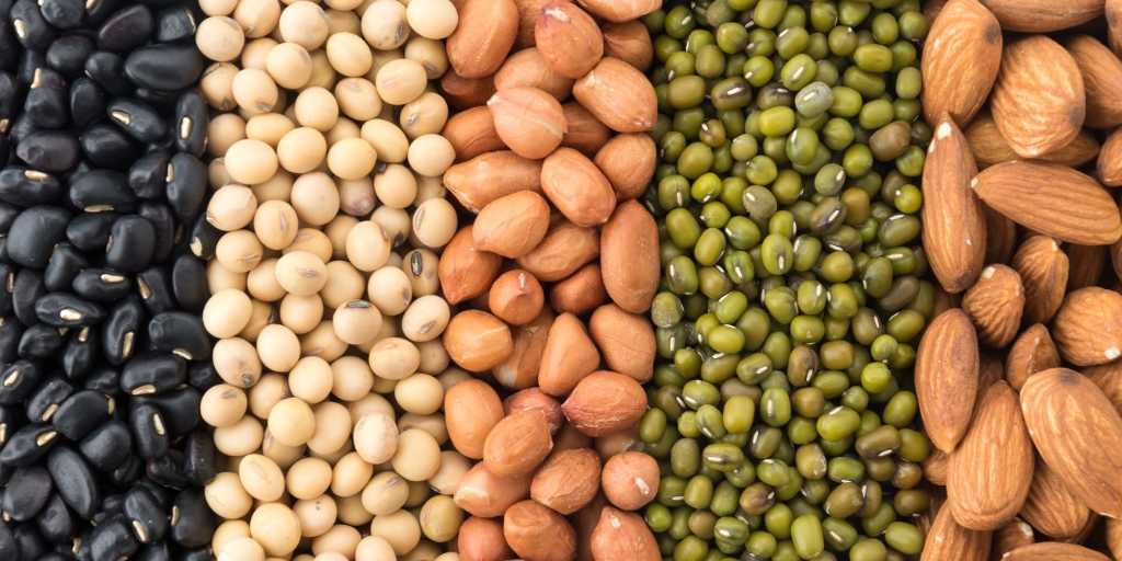 Carne Bovina: Um dos Maiores Exportadores do Mundo - inspiração 2