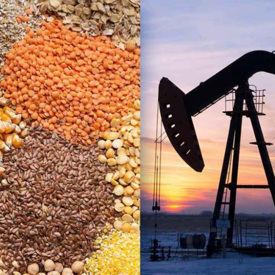 Celulose: A Base de Papel e Outros Produtos - inspiração 1