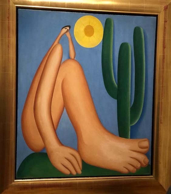 As Cores Vibrantes e a Simplicidade Formosa - inspiração 1