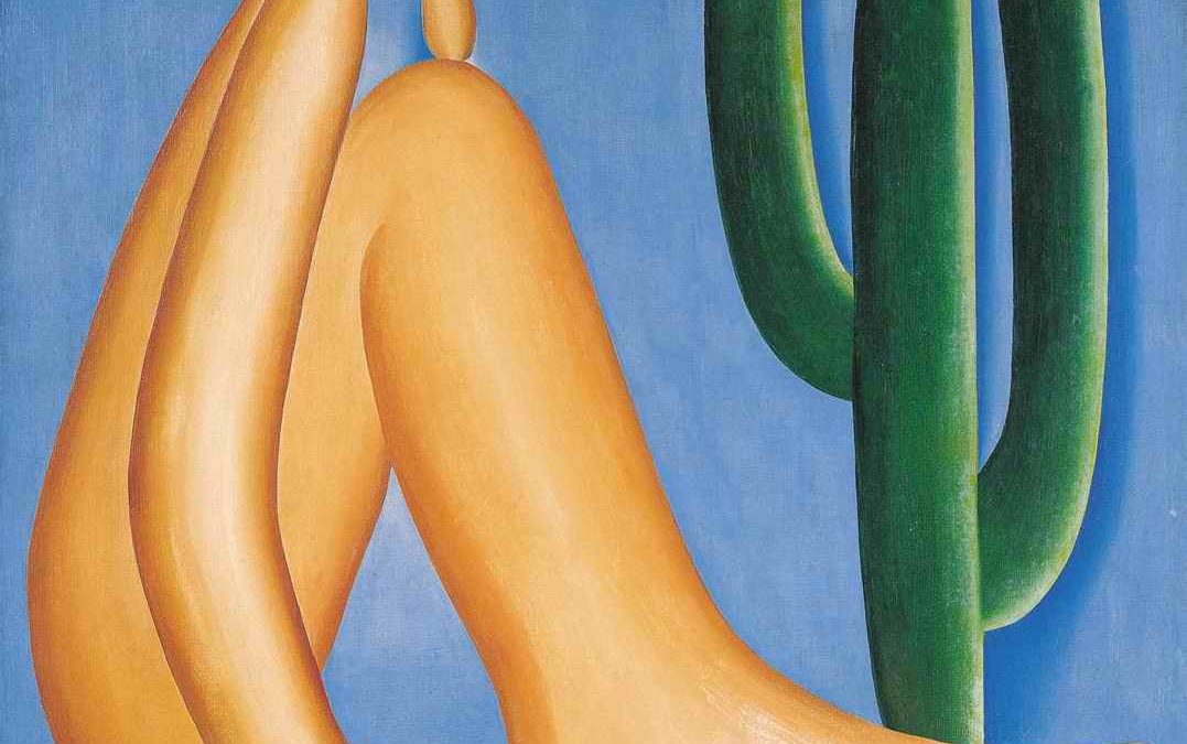 As Cores Vibrantes e a Simplicidade Formosa - inspiração 2