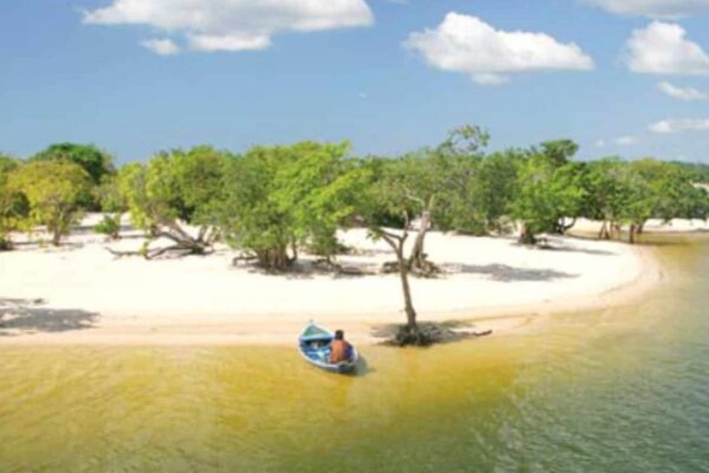 A Chegada Triunfal: De Santarém a Alter do Chão - inspiração 1