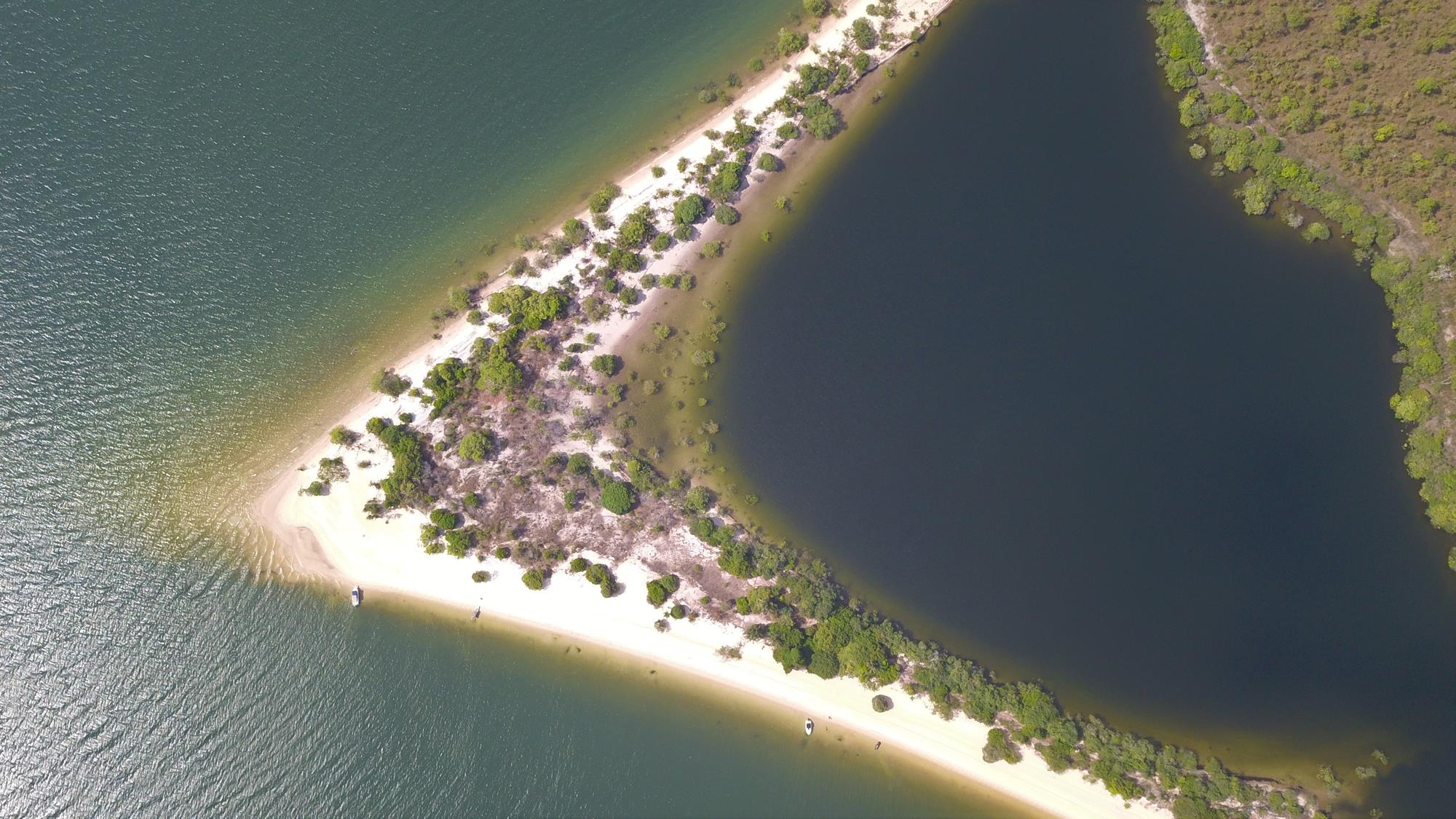 Sabores da Amazônia: O Que Comer por Lá - inspiração 2