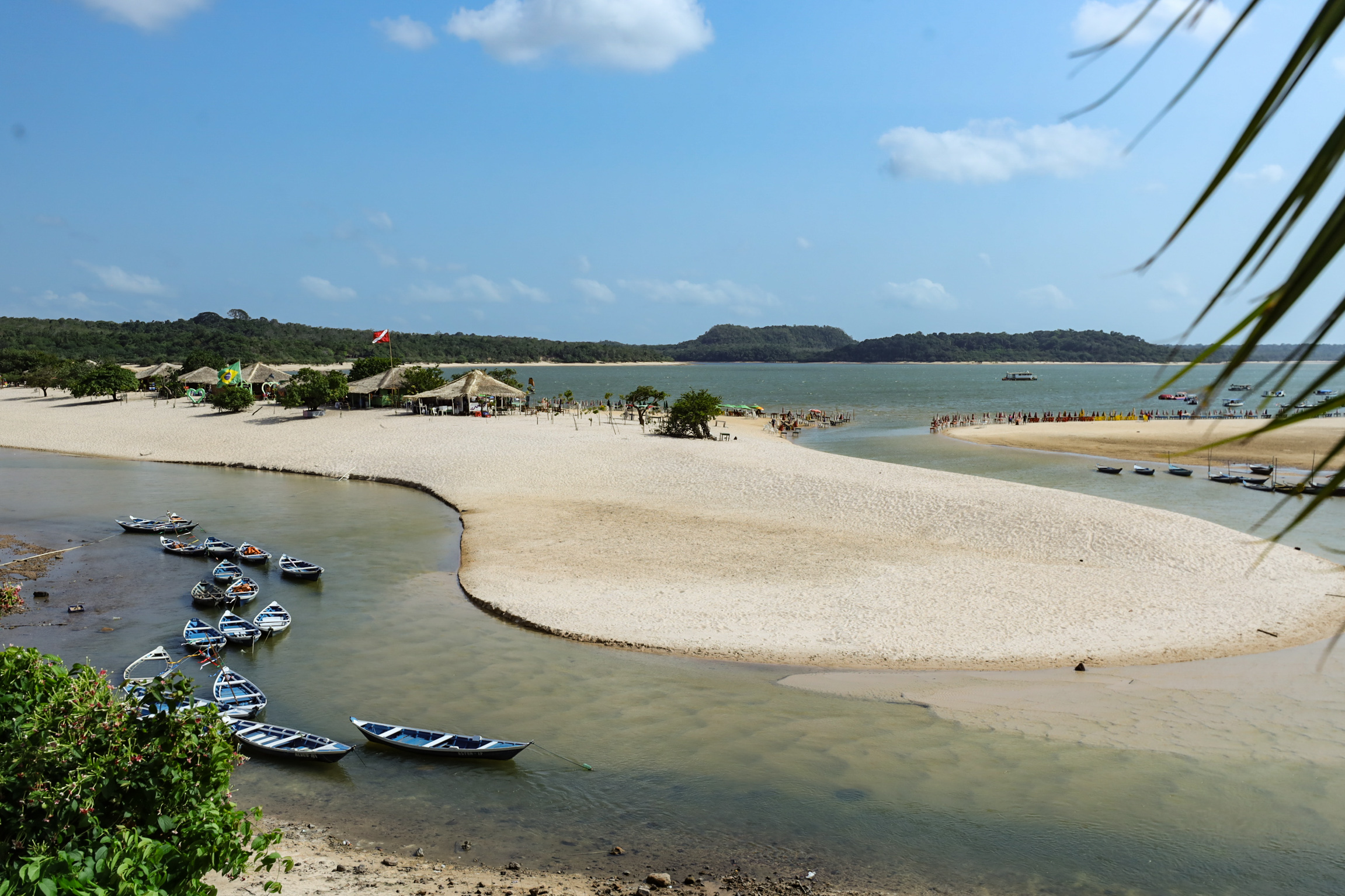 Aventura e Natureza: Trilhas e Observação de Fauna - inspiração 1