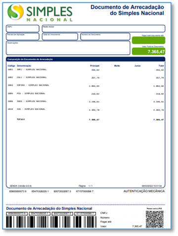 Preenchendo a DASN-SIMEI: Informações Essenciais - inspiração 2