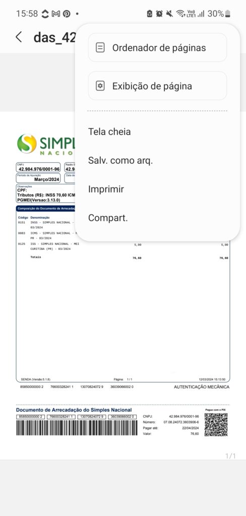 Alternativas Se Você Não Conseguir Emitir Online - inspiração 1