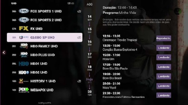 Variedade de Conteúdo: Do Esporte à Cultura, Tudo em Um Só Lugar - inspiração 1