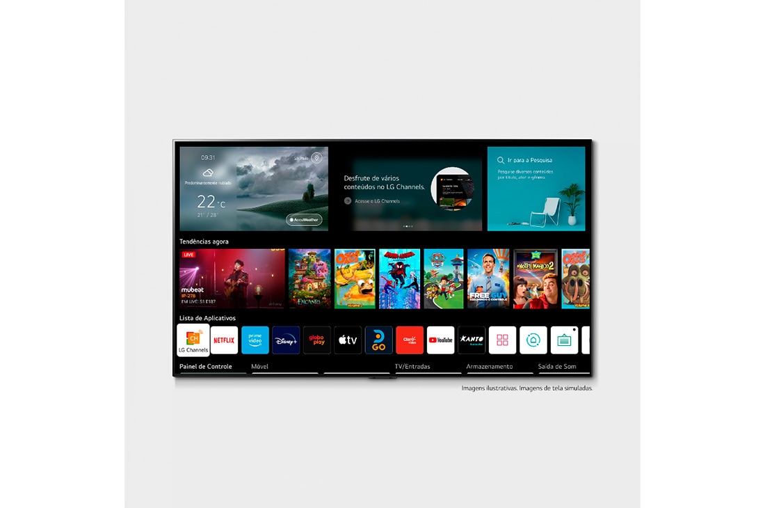 Entendendo os modelos: De básicos a premium, qual se encaixa no seu bolso? - inspiração 1