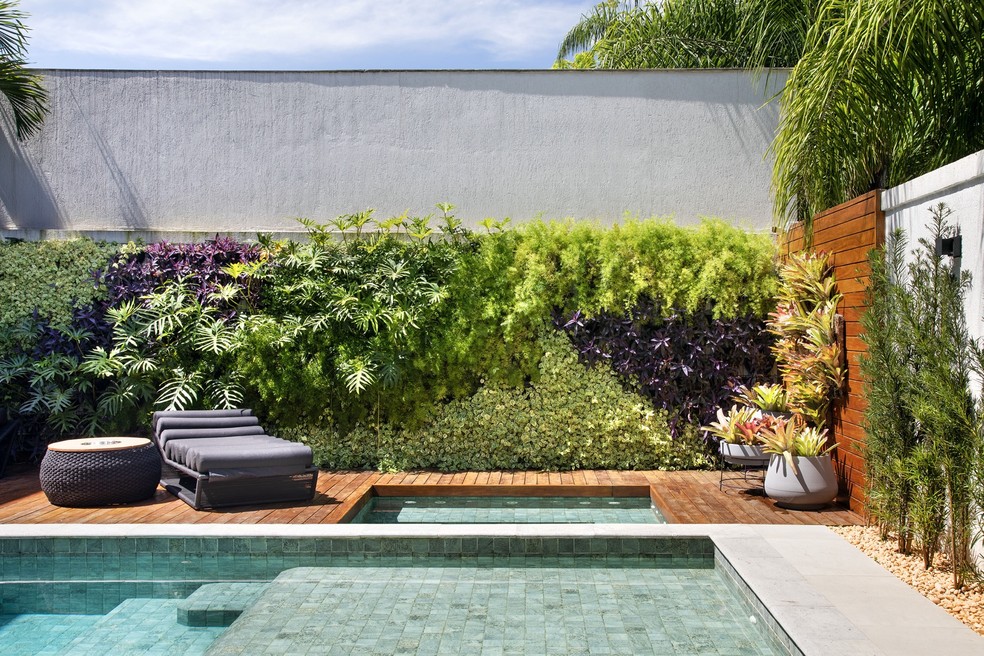 jardim vertical vs canteiro elevado qual melhor