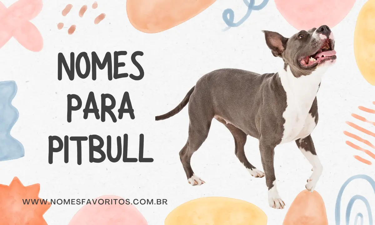 100 Nomes para Pitbull Macho