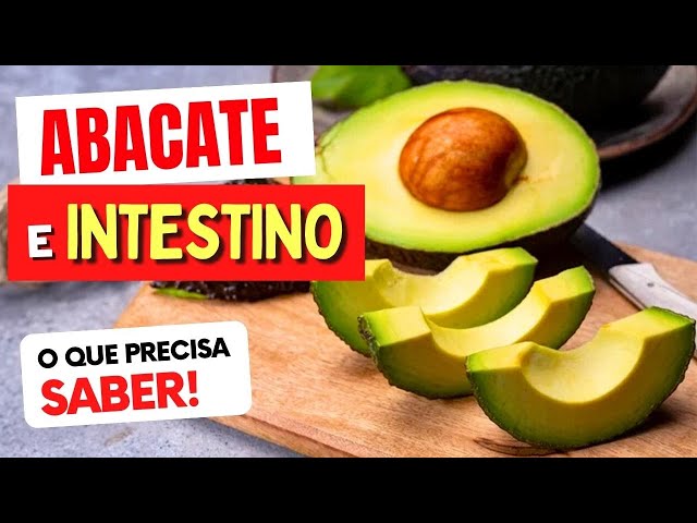 Abacate É Bom Para O Intestino