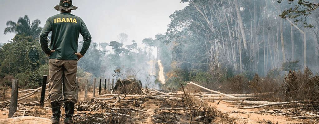 5 ideias de títulos:
1. O Papel Essencial do Advogado Ambiental na Defesa de Empresas
2. Como um Advogado Ambiental Pode Evitar o Embargo de Áreas
3. Guia Completo: Anulação e Redução de Multas Ambientais
4. Crimes Ambientais: Entenda a Atuação do Advogado Especialista
5. O Que Fazer Após Receber um Auto de Infração Ambiental?