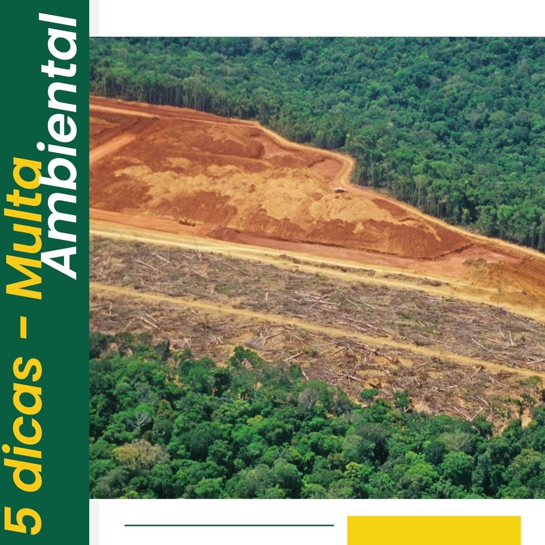 Advogado especialista em direito ambiental e multas