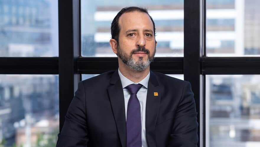 O papel das agências reguladoras (ANEEL