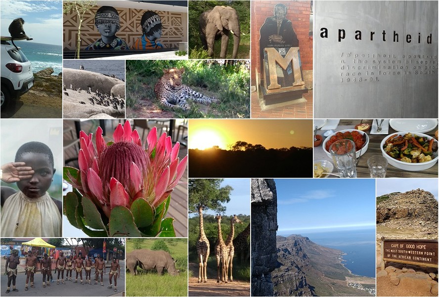 Madagascar: Um Paraíso de Biodiversidade e Espécies Únicas