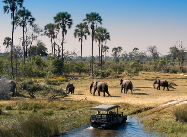 As Maravilhas das Cataratas Vitória: Onde Ficam e Como Visitar