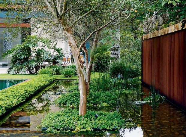 Dicas de Ouro para Potencializar o Uso da sua Água de Beleza