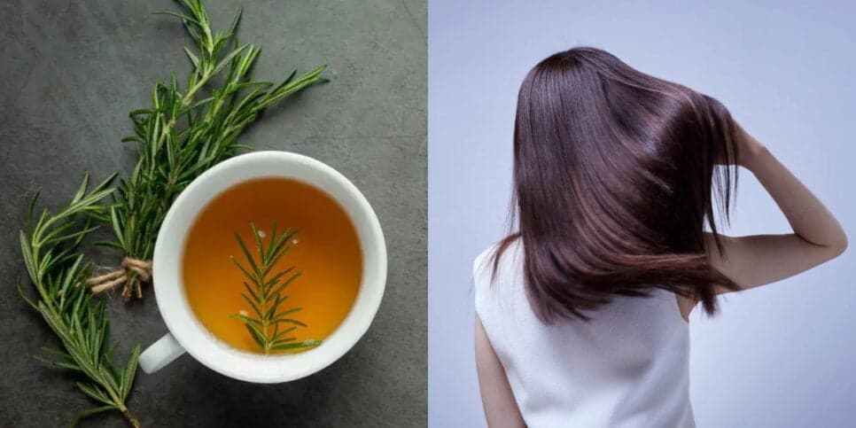 melhores receitas de alecrim para cabelo crescer rápido