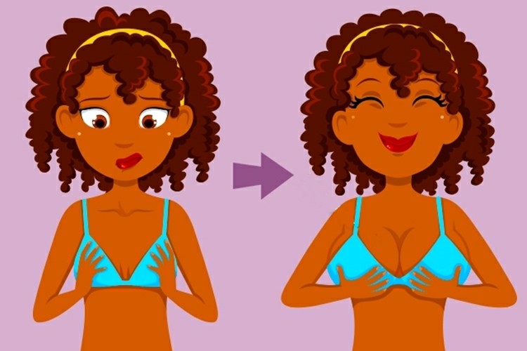 Guia Completo de Gorduras Saudáveis para o Corpo