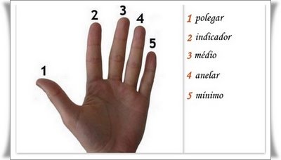 Anel de Tucum no Polegar: Entenda o Código Lésbico no Brasil