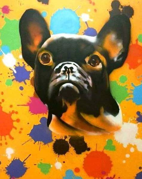 Contato e Benefícios.
5. A Reputação da Animale: Por que a Marca é Considerada 