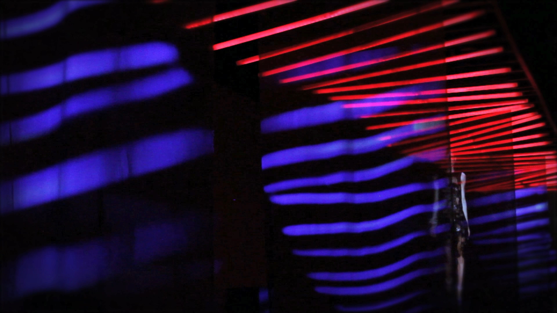 animale oscar freire