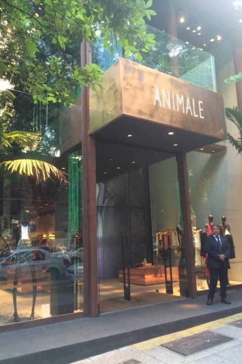 1. Animale Oscar Freire: Um Mergulho na Nova Coleção 