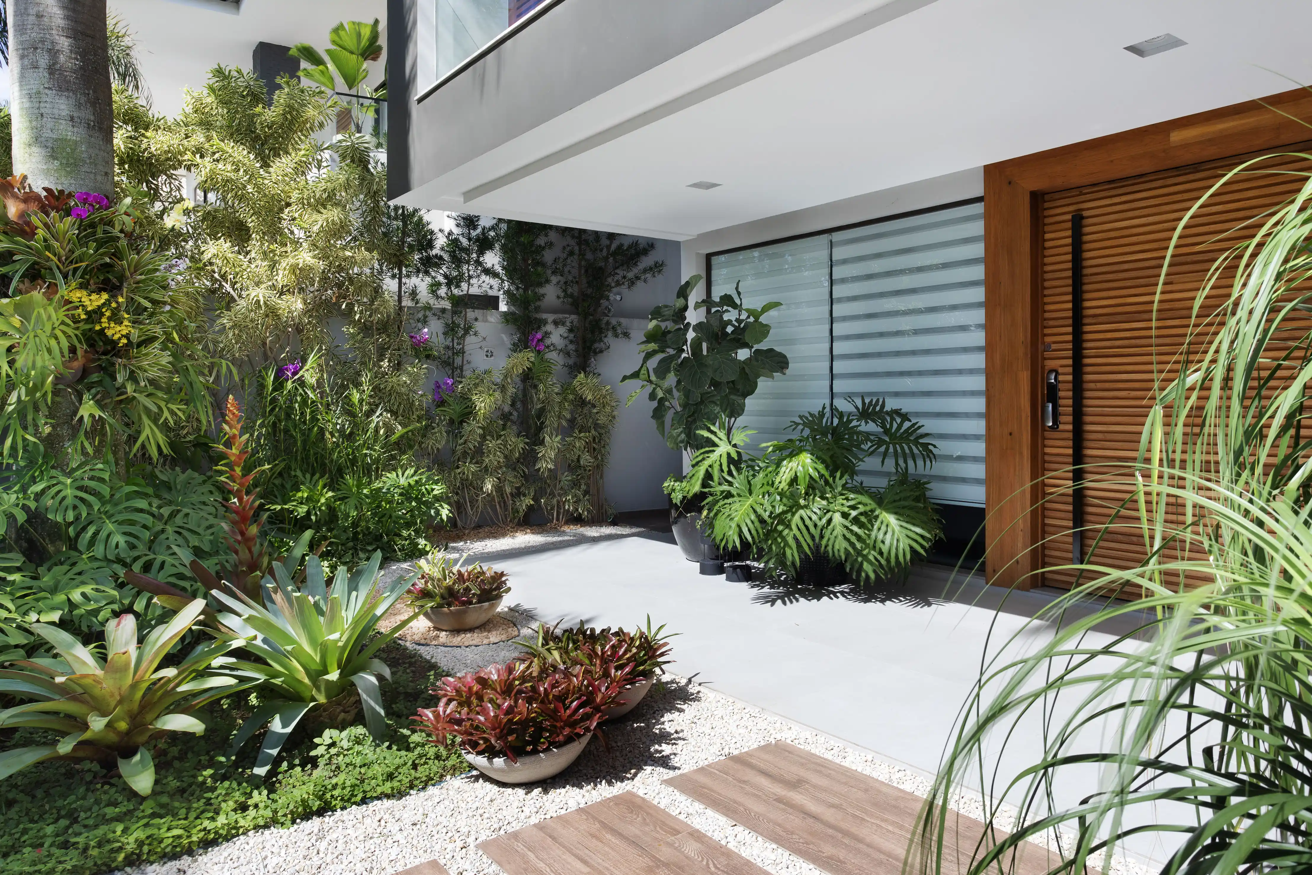 arbustos com flores que atraem borboletas