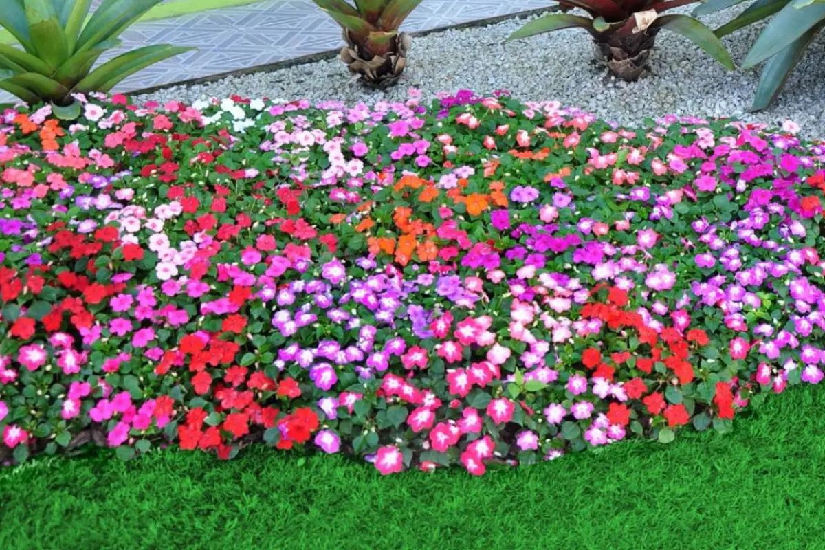 quanto custa plantar arbustos floridos no jardim