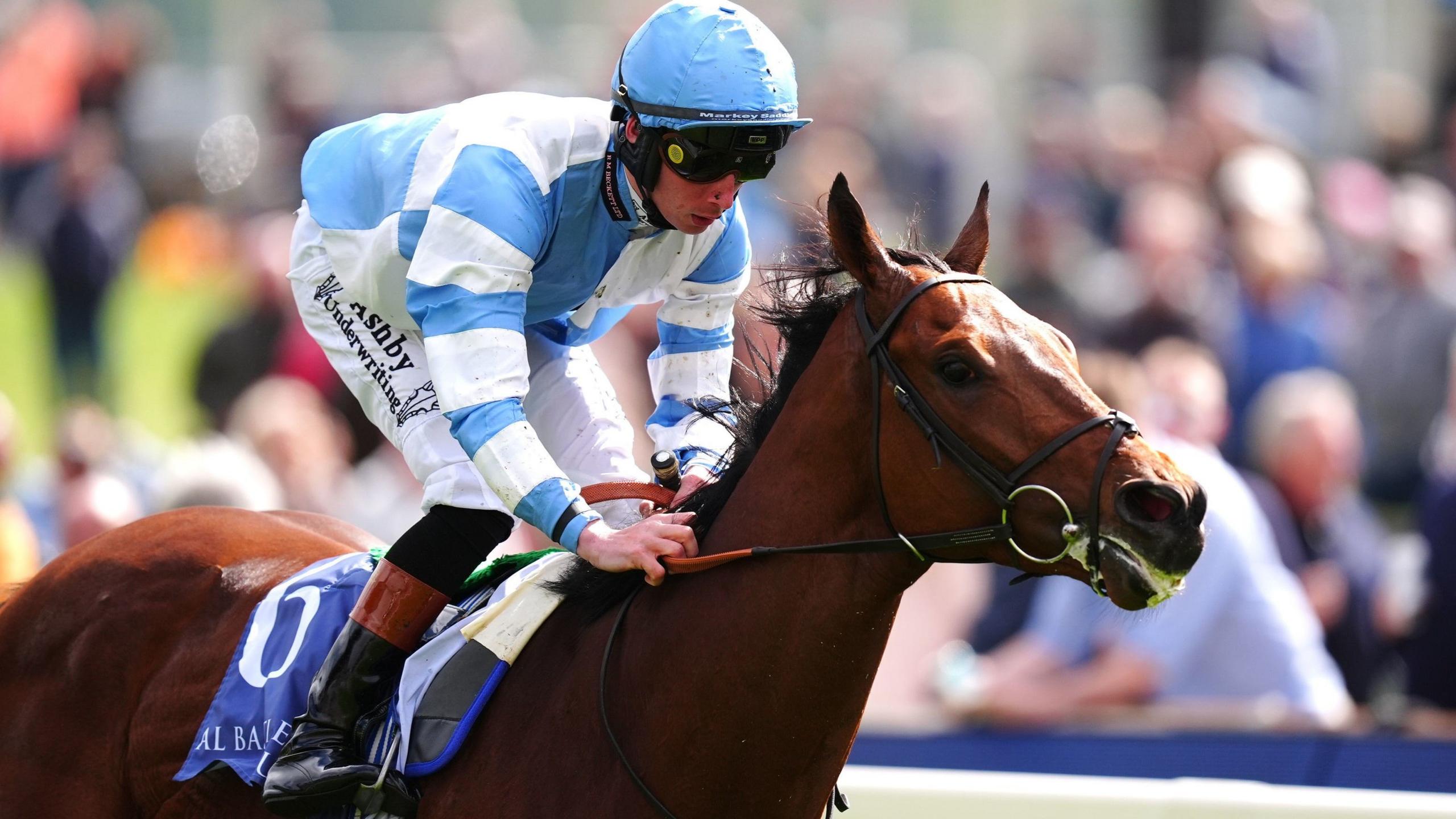 Quem é Jade Lôbo? A Influenciadora por Trás do Arrasani Oficial