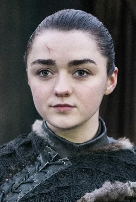 A Jornada Épica de Arya Stark: De Dama a Assassina em Westeros